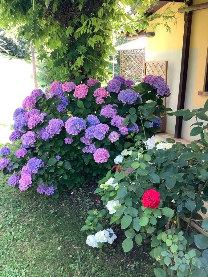Ferienwohnung Il Mulino Di Geminella Narzole Exterior foto