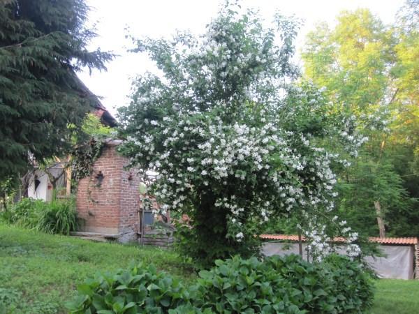Ferienwohnung Il Mulino Di Geminella Narzole Exterior foto